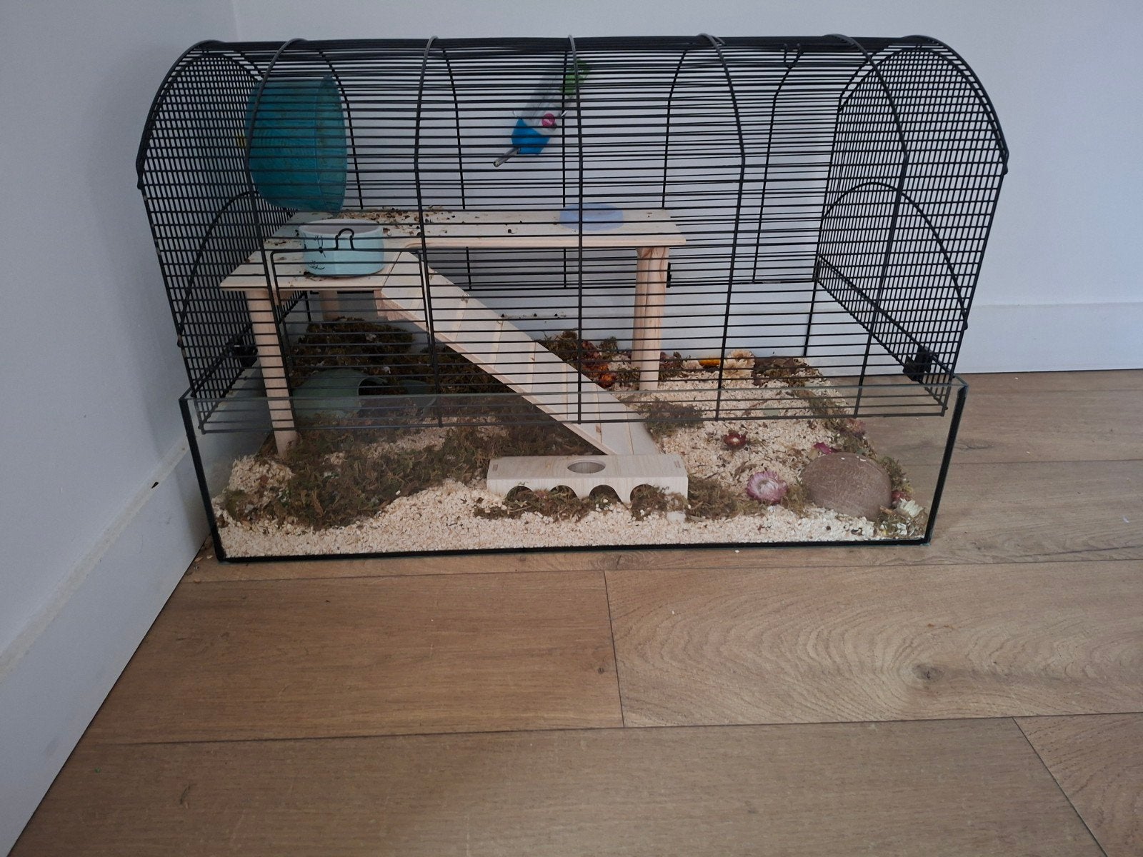 Ruime glazen hamsterkooi / knaagdierenkooi / terrarium, Dieren en Toebehoren, Ophalen