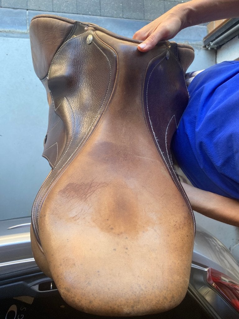 Zadel Pessoa te koop, Dieren en Toebehoren, Ophalen, Gebruikt, M (17 inch), Springen