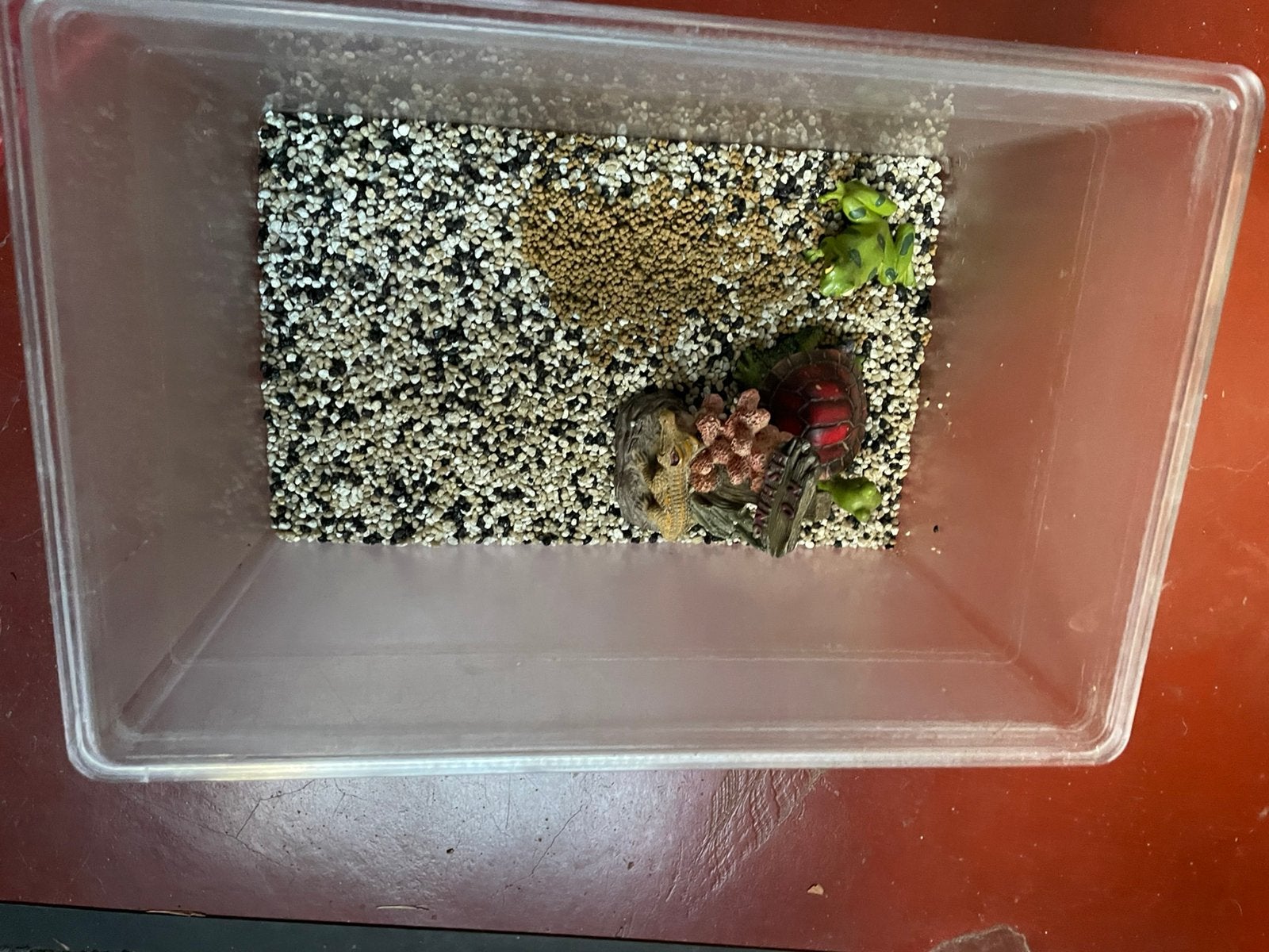 Aquarium, Enlèvement