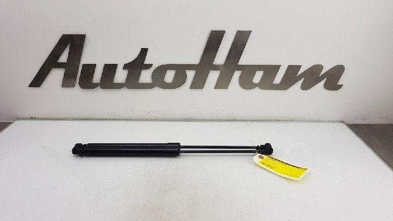 GASDRUKVEERSET ACHTER Dacia Sandero III (|904529943R|), Gebruikt, Dacia