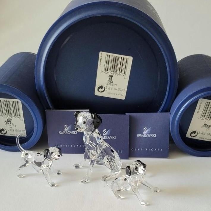 Prachtige Swarovski Dalmatiërs moeder en pups met doosjes, Enlèvement ou Envoi