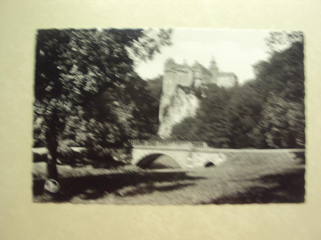49415 - CHATEAU DE MODAVE - PONT VU DU PARC, Collections, Enlèvement ou Envoi