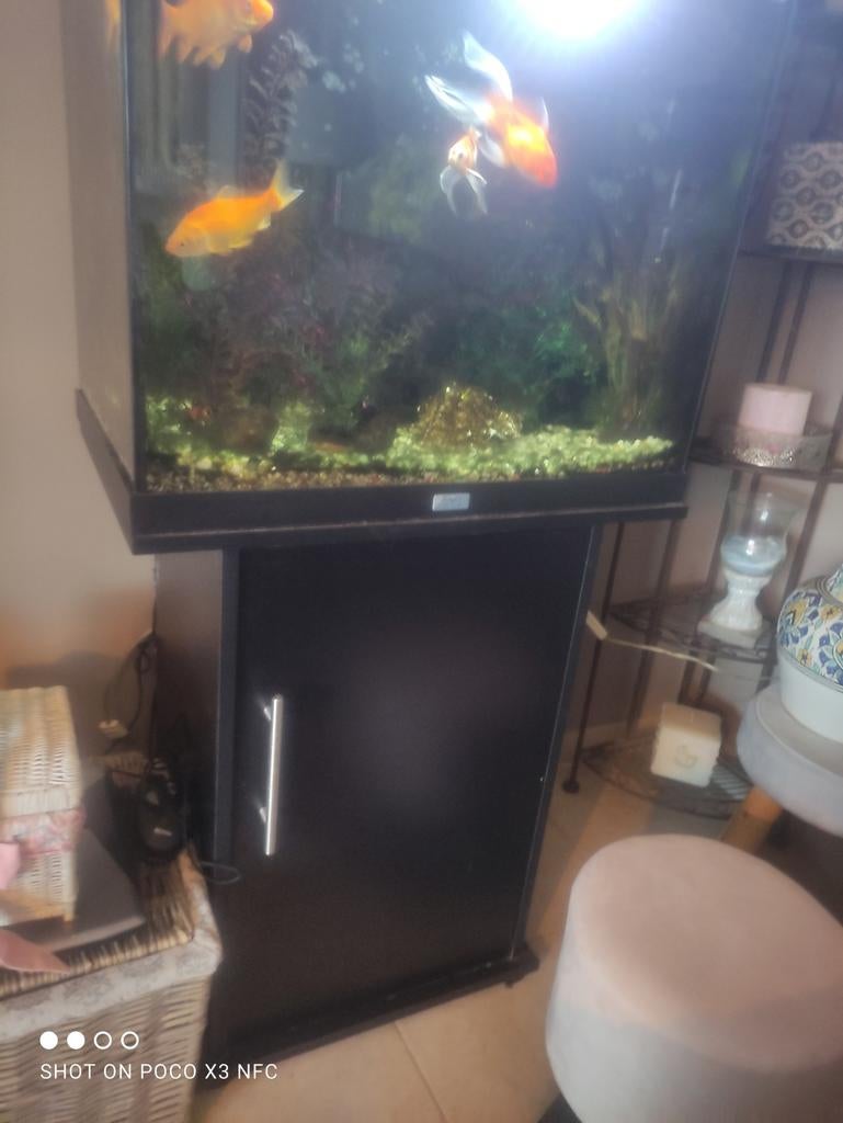 Aquarium op kastje met toebehoren .vissen, Ophalen