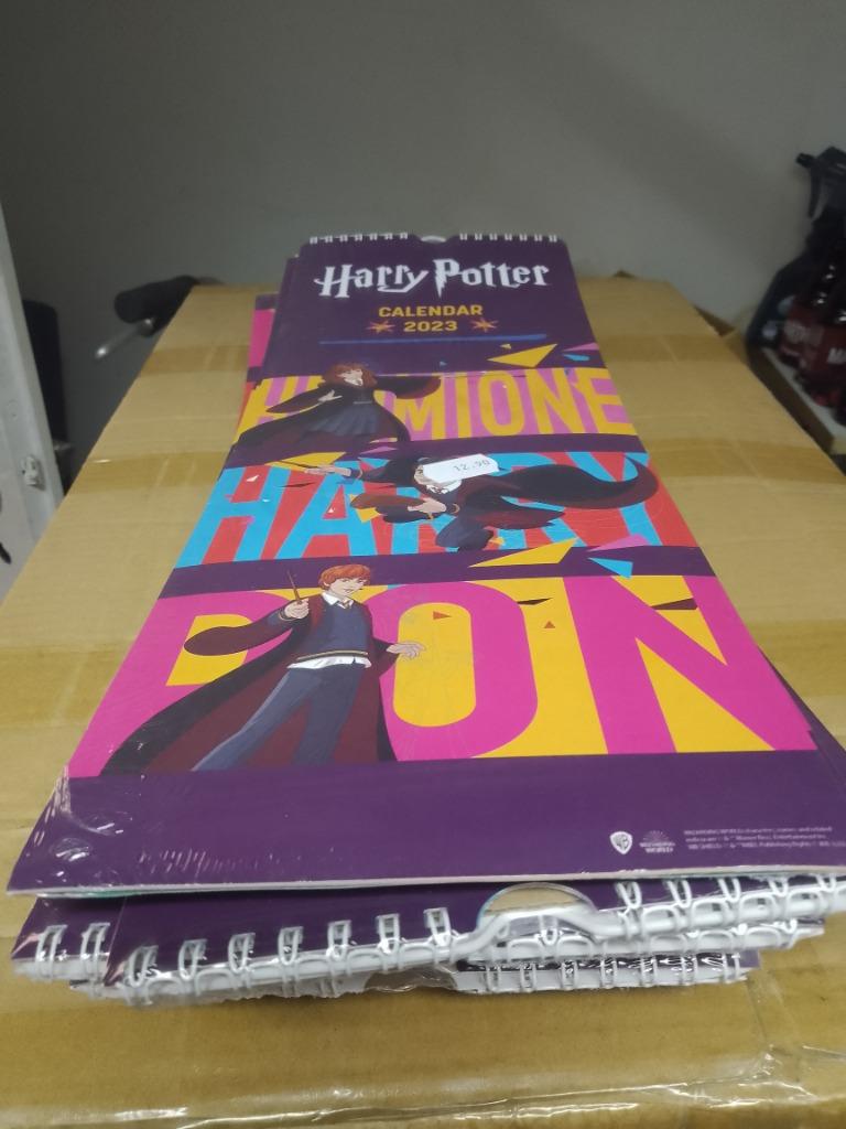 harry potter kalenders 16 stuks 2023 2022, Ophalen of Verzenden, Nieuw, Boek of Poster