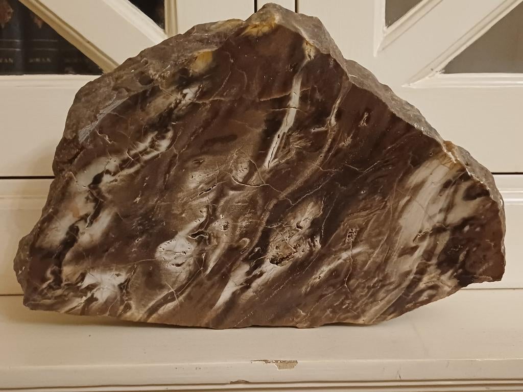 Mooi stuk versteend gefossiliseerd hout - Frankrijk, Ophalen of Verzenden, Fossiel