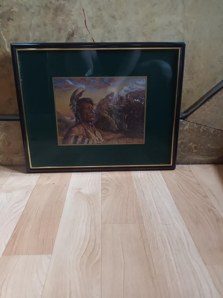 Indianen schilderij, Enlèvement, Comme neuf