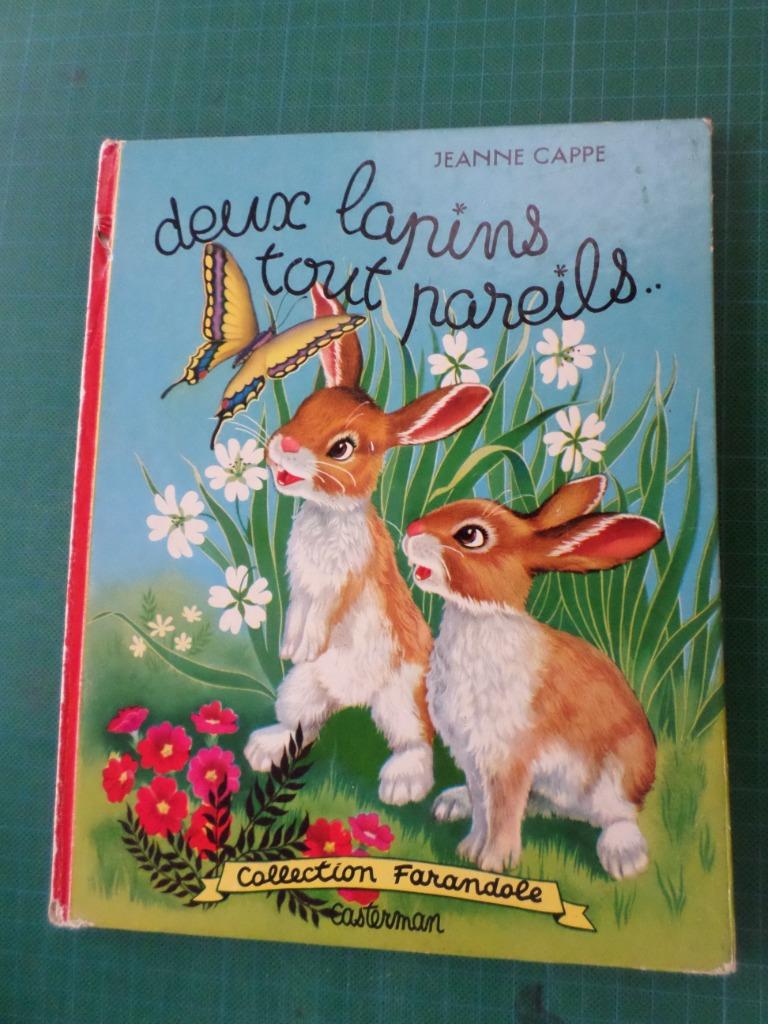 Deux lapins tout pareils (Casterman) – années ‘60 – 19 pages, Livres, Enlèvement ou Envoi, Fiction général, Utilisé, Jeanne Cappe