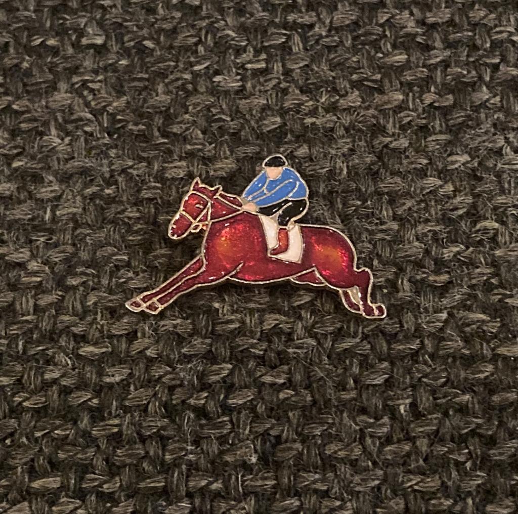 PIN - PAARDRIJDEN - HORSE RIDING - PAARD - CHEVAL, Enlèvement ou Envoi, Utilisé, Sport, Insigne ou Pin's