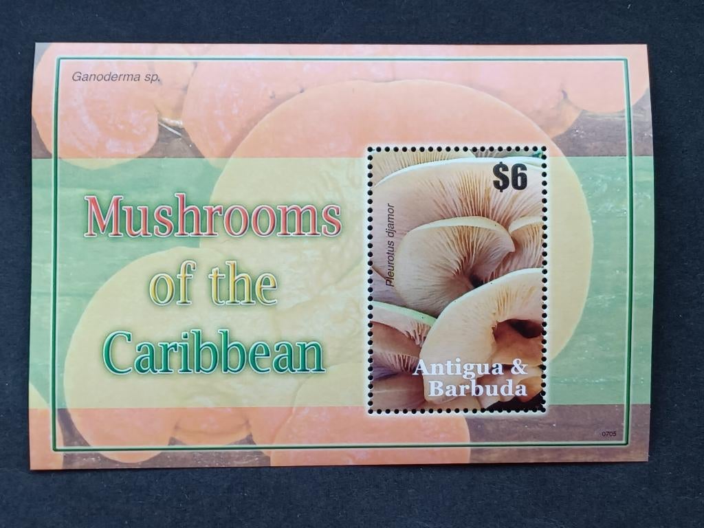 Postzegels Antigua & Barbuda - Paddestoelen, Postzegels en Munten, Ophalen of Verzenden, Postfris, Midden-Amerika