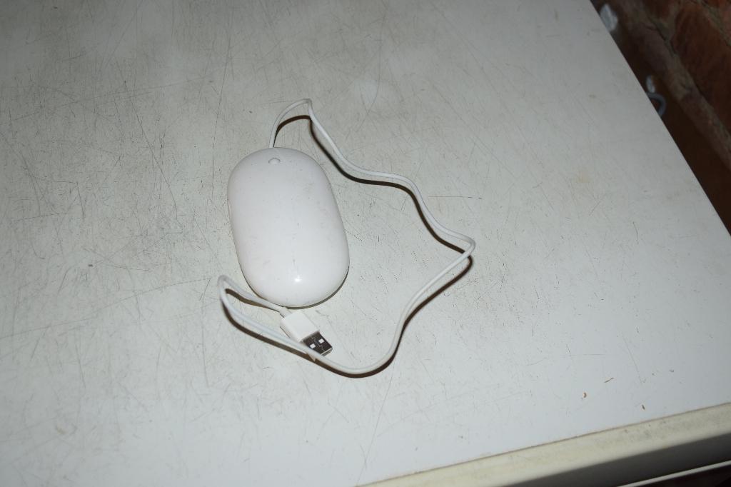 Souris Apple, Ergonomique, Souris, Enlèvement ou Envoi, Reconditionné