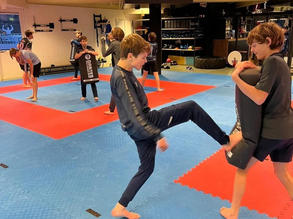 Tapis de sport Tatami en mousse EVA (Fight) 100 x 100 x 2,6, Sports & Fitness, Enlèvement ou Envoi, Neuf, Autres, Équipement d'arts martiaux