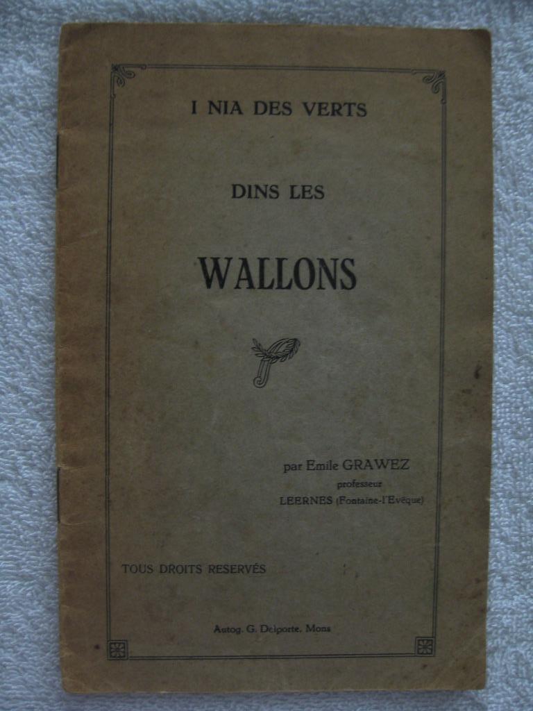 Fontaine-l’Evêque Leernes – Emile Grawez - 1920, Enlèvement ou Envoi, Utilisé