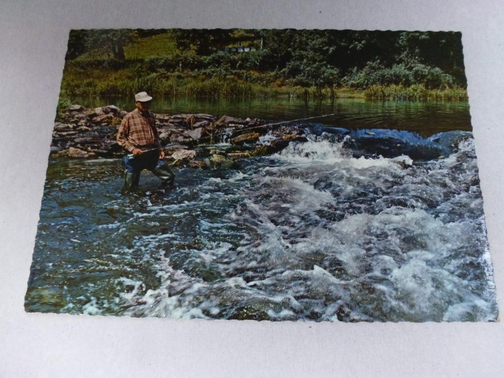 Les Ardennes pittoresques : pêche de la truite, Verzenden, Gelopen
