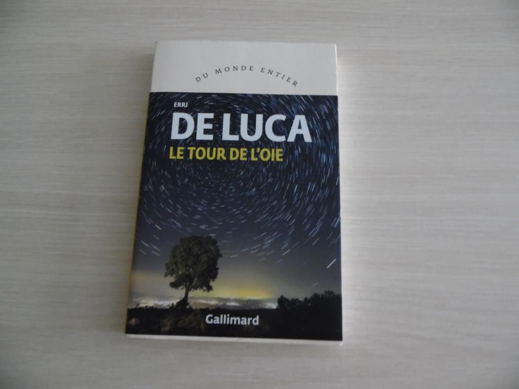LE TOUR DE L'OIE        ERRI DE LUCA, Enlèvement ou Envoi, Comme neuf, Erri de Luca, Europe autre