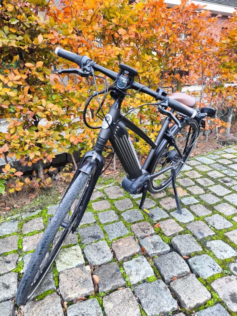 Speed pedelec cityzen Speed 380, Fietsen en Brommers, Ophalen of Verzenden, Gebruikt, 50 km per accu of meer, Gazelle