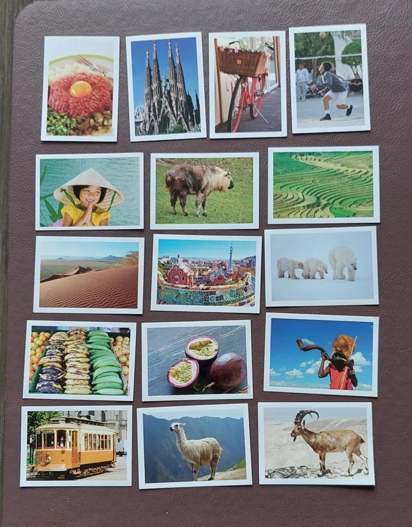 Estampes Delhaize Tom&Co. PANINI. FAMILLE. 52 PIÈCES, Enlèvement ou Envoi, Comme neuf