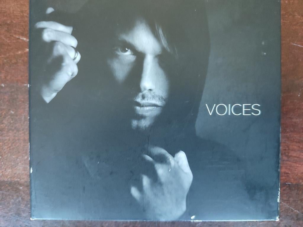 CD : REGI - VOICES, Cd's en Dvd's, Ophalen of Verzenden, Zo goed als nieuw