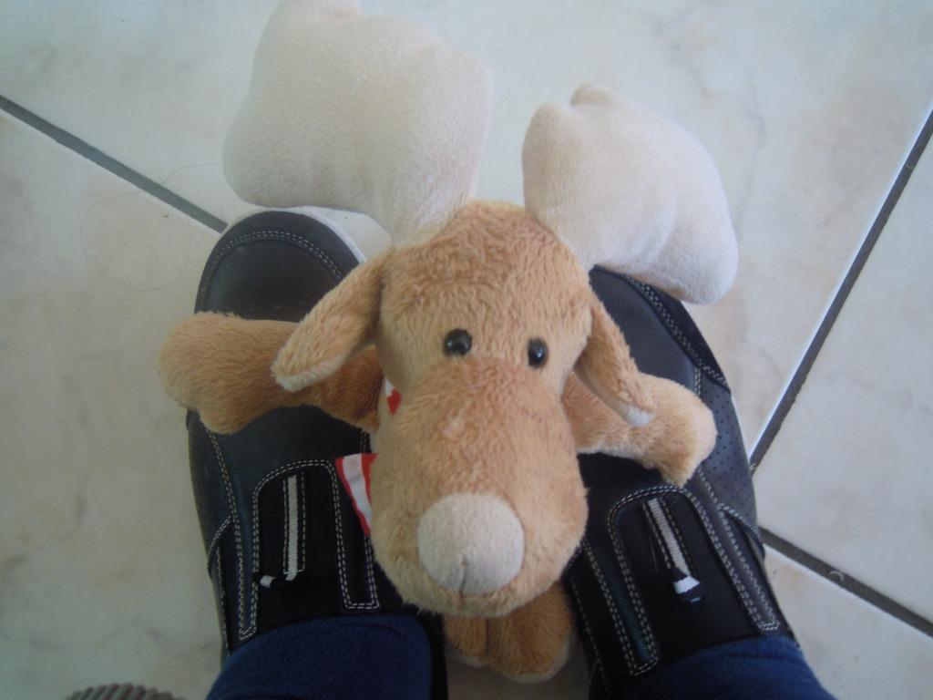 knuffel kinder rendier (doos 0324), Ophalen of Verzenden, Nieuw