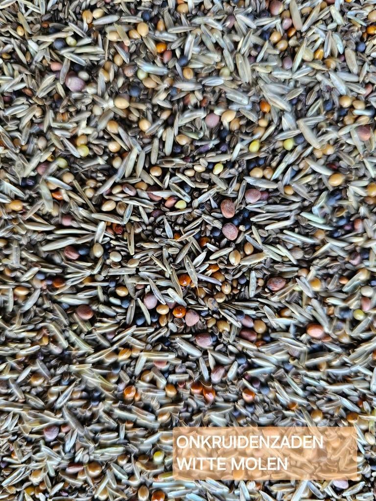 Graines de mauvaises herbes EXPERT 5 kg - Witte Molen, Enlèvement