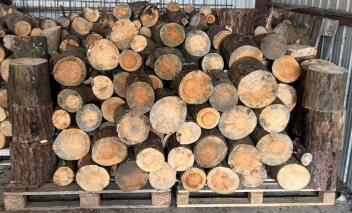 Droge stammetjes den (nog te klieven), Tuin en Terras, Brandhout, Ophalen