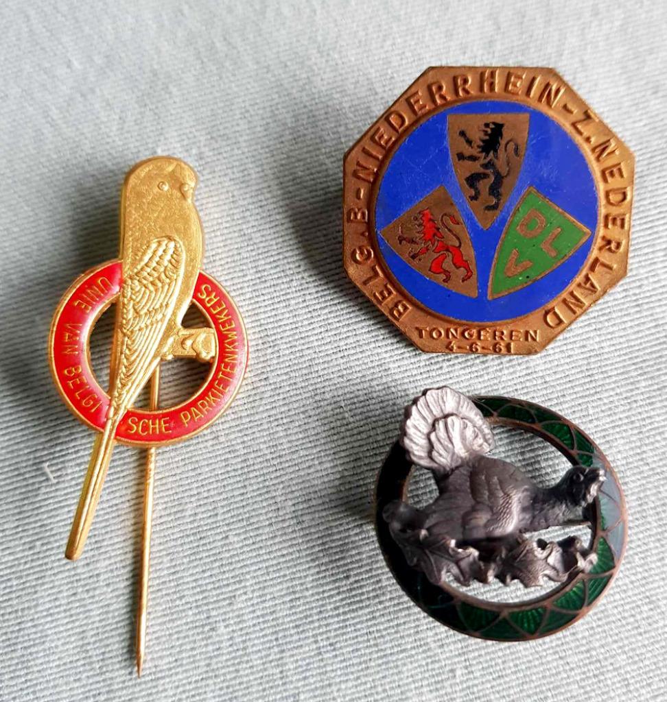 Speldjes-broches-button, Verzamelen, Speldjes, Pins en Buttons, Gebruikt, Speldje of Pin, Overige onderwerpen, Ophalen of Verzenden