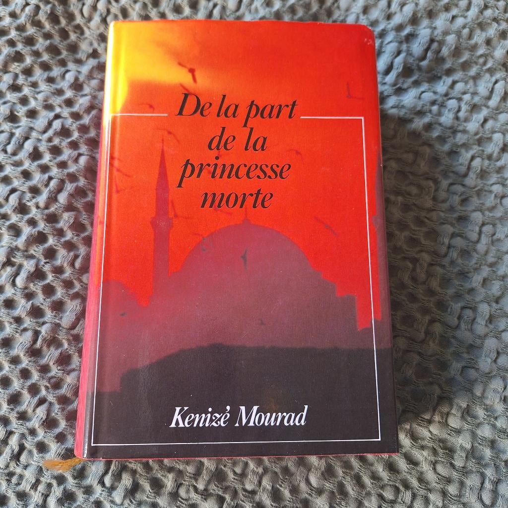Boek: Van de dode prinses, Boeken, Romans, Ophalen of Verzenden, Zo goed als nieuw