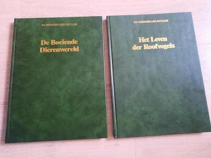 De Boeiende Dierenwereld/ Het Leven der Roofvogels, Boeken, Ophalen of Verzenden, Zo goed als nieuw