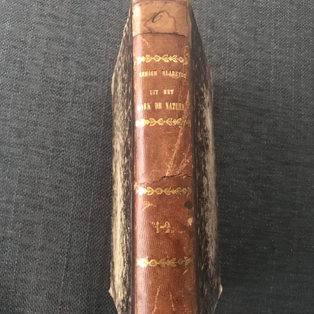 Eenige bladzyden Boek der natuur H Conscience 1852, Ophalen of Verzenden