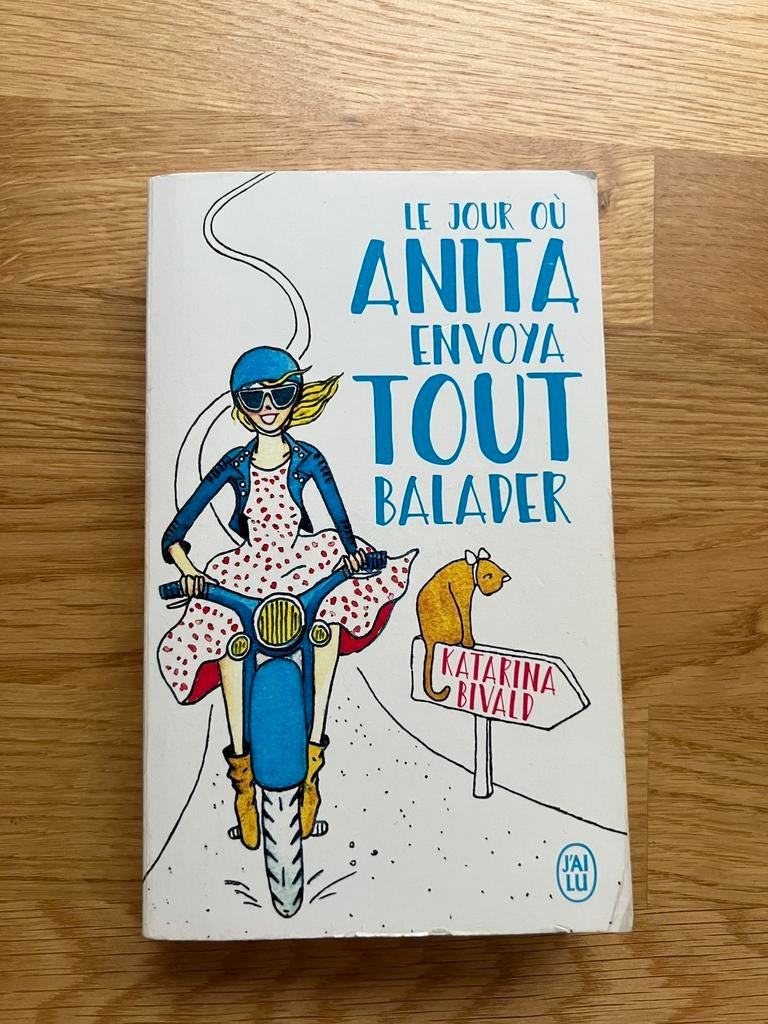 Livre « Le jour où Anita envoya tout balader », Utilisé, Katarina Bivald