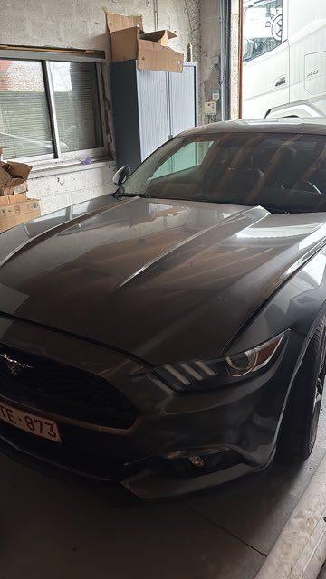 ford mustang, Autos, Ford USA, Cuir, Achat, Euro 6, Entreprise
