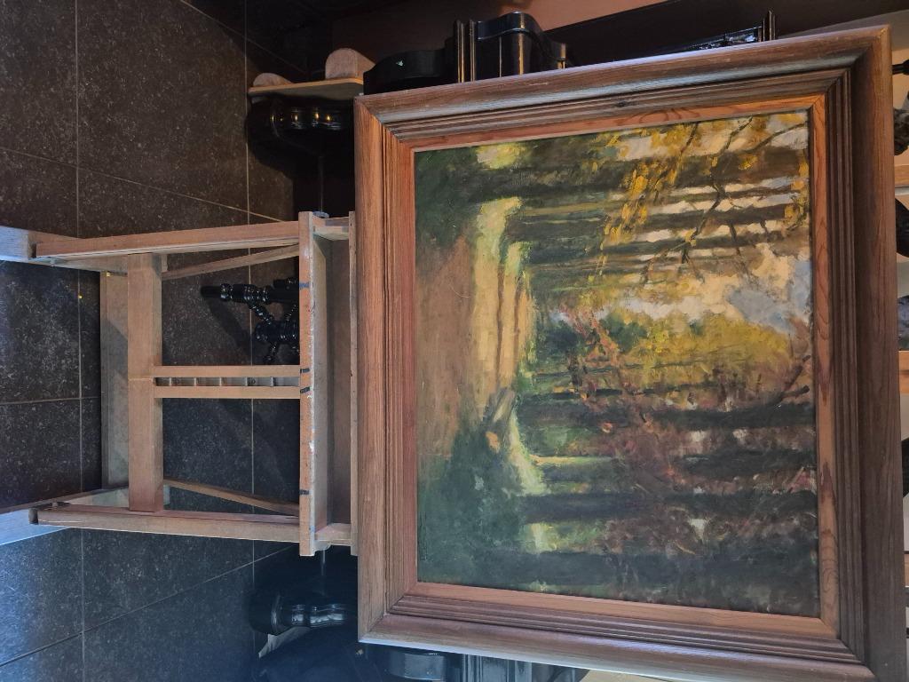 Schilderij B. TAS, Antiek en Kunst, Ophalen