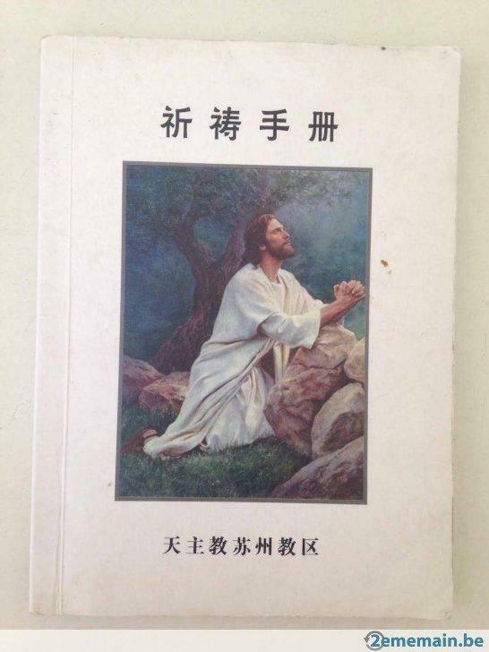 Missaal in het Chinees, Ophalen of Verzenden