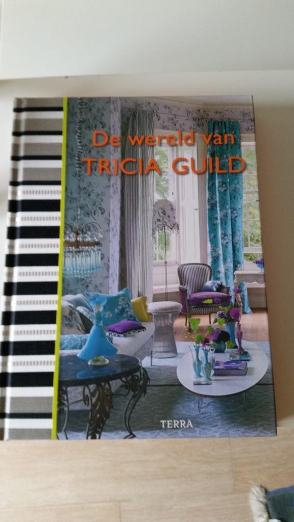 LIVRE : LE MONDE DE TRICIA GUILD (Terra) NOUVEAU 10,00€ VERL, Enlèvement ou Envoi, Neuf