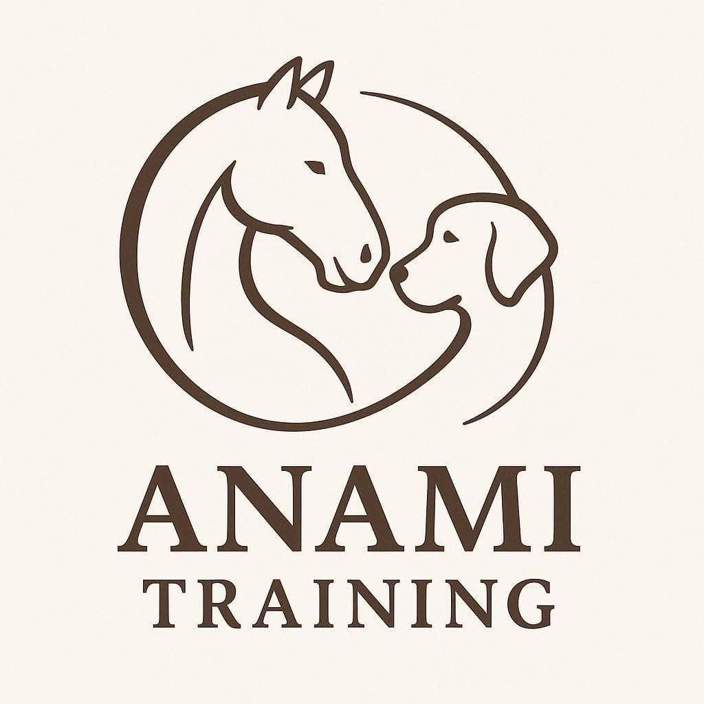 Professioneel opleren paard pony