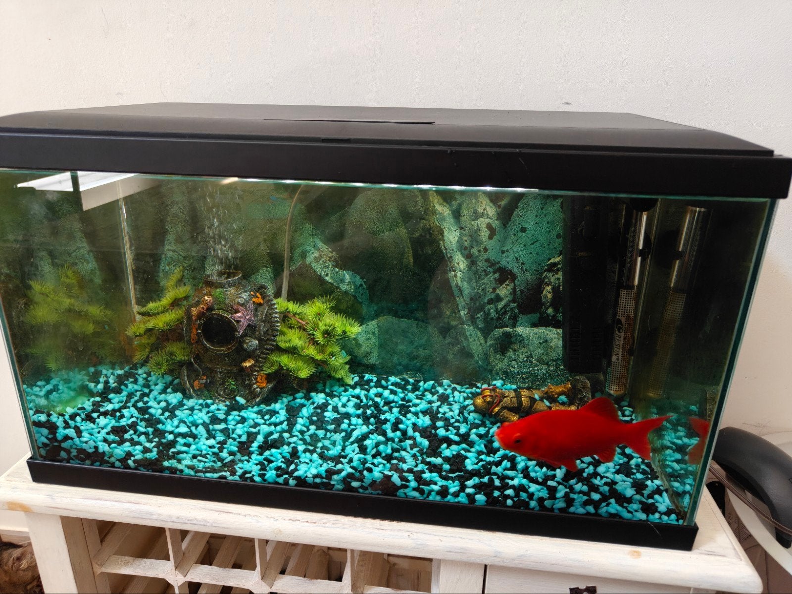 Aquarium te koop, Ophalen of Verzenden, Verwarming, Filter
