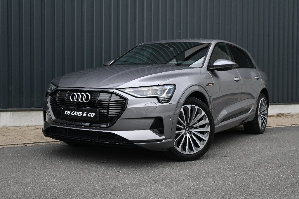Audi E-tron 50 Quattro ACC, DCC, Cam, Trekh, Keyless, BTW, Auto's, Automaat, 230 kW, 1800 kg, https://public.car-pass.be/vhr/6f29f00b-5674-4d1f-9570-3465e821ea28