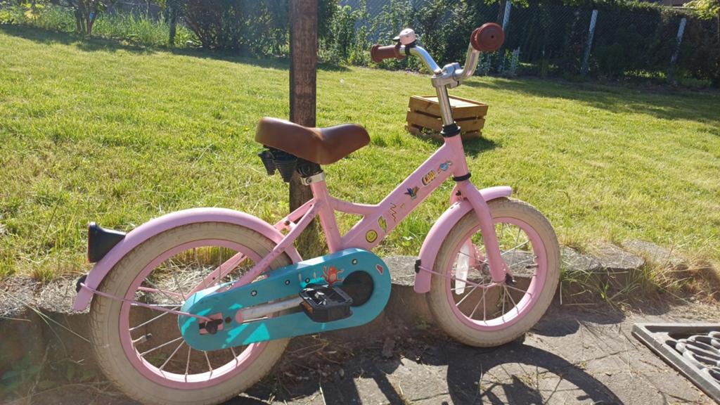 Kinderfietsje (wielmaat 14 inch), Fietsen en Brommers, Ophalen, Terugtraprem