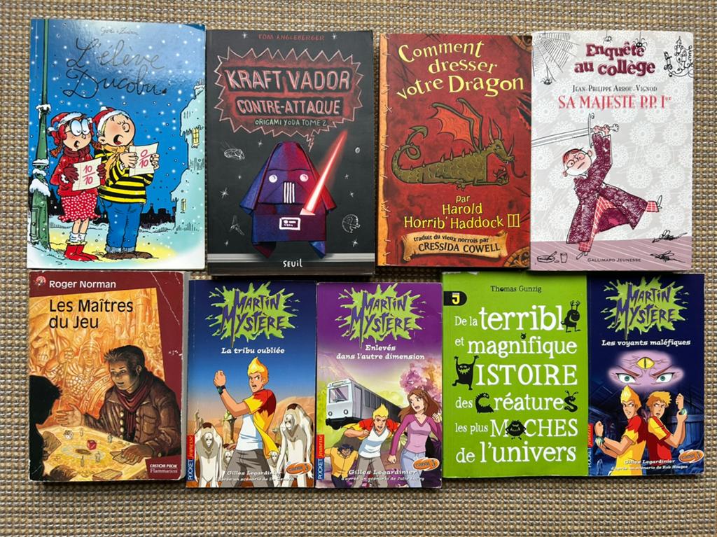 Livres pour enfants adolescents, Boeken, Kinderboeken | Jeugd | 10 tot 12 jaar, Zo goed als nieuw, Ophalen of Verzenden