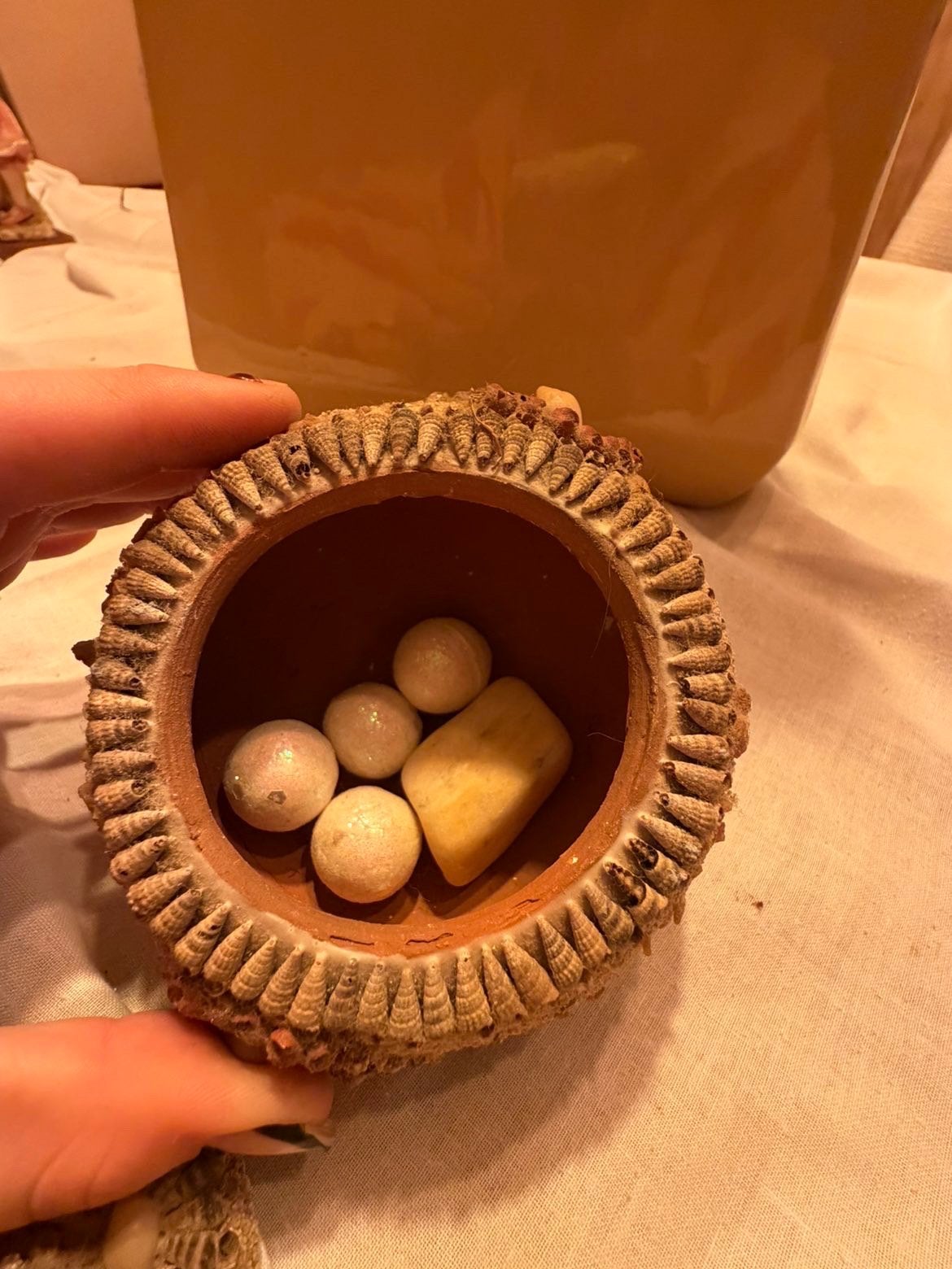 Pots en coquillage, Ophalen, Schelp(en)