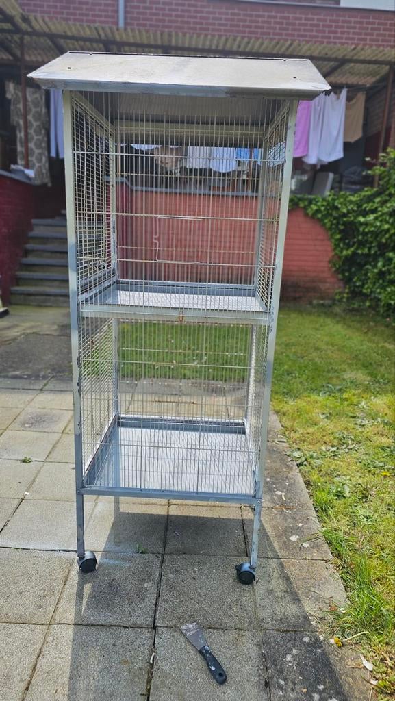Cages oiseaux, Animaux & Accessoires, Oiseaux | Cages & Volières