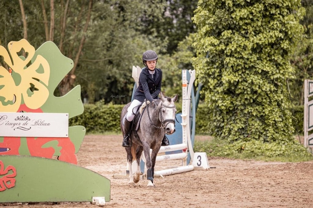 Halve stal gezocht regio Beringen, Merrie, Zadelmak, 7 tot 10 jaar, B pony (1.17m tot 1.27m)