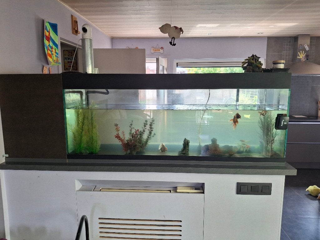Aquarium, Enlèvement, Utilisé, Plantes incluses, Eheim