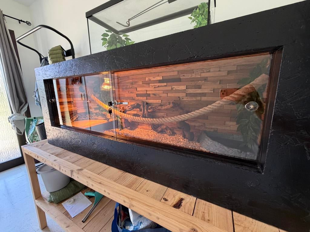 Terrarium tout équipé, Dieren en Toebehoren, Ophalen, Zo goed als nieuw