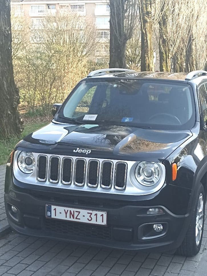 JEEP RENEGADE 1, 6 Diesel 120ch, Autos, Cuir, Achat, Euro 6, Assistance au freinage d'urgence