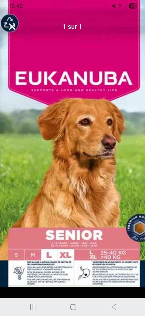 nourriture, Dieren en Toebehoren, Ophalen, Hond