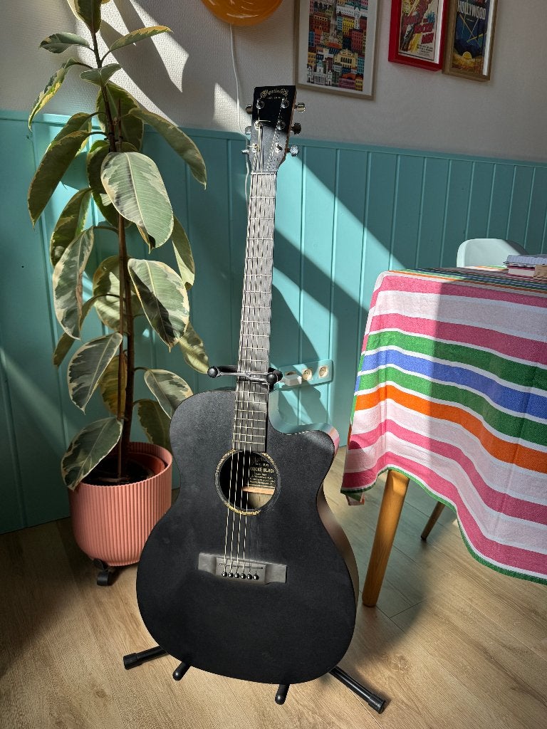 Guitare électro-acoustique Martin & Co avec accessoires, Musique & Instruments, Instruments à corde | Guitares | Acoustiques, Enlèvement