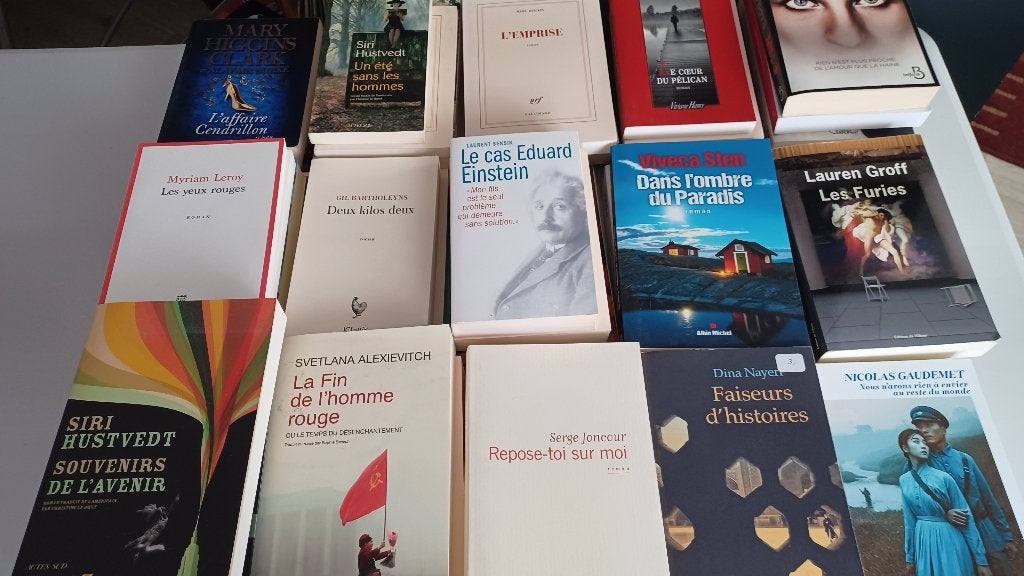 Lot de 50 romans francophones, Livres, Romans, Enlèvement, Comme neuf, Divers auteurs, Europe autre
