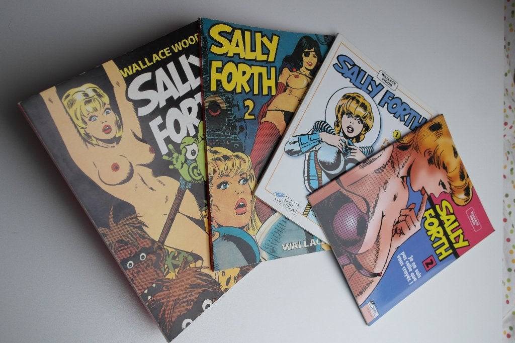 Bd SALLY FORTH tomes 1 à 4 (EO ttbe) de WOOD, Gelezen, Complete serie of reeks, Ophalen of Verzenden, WOOD