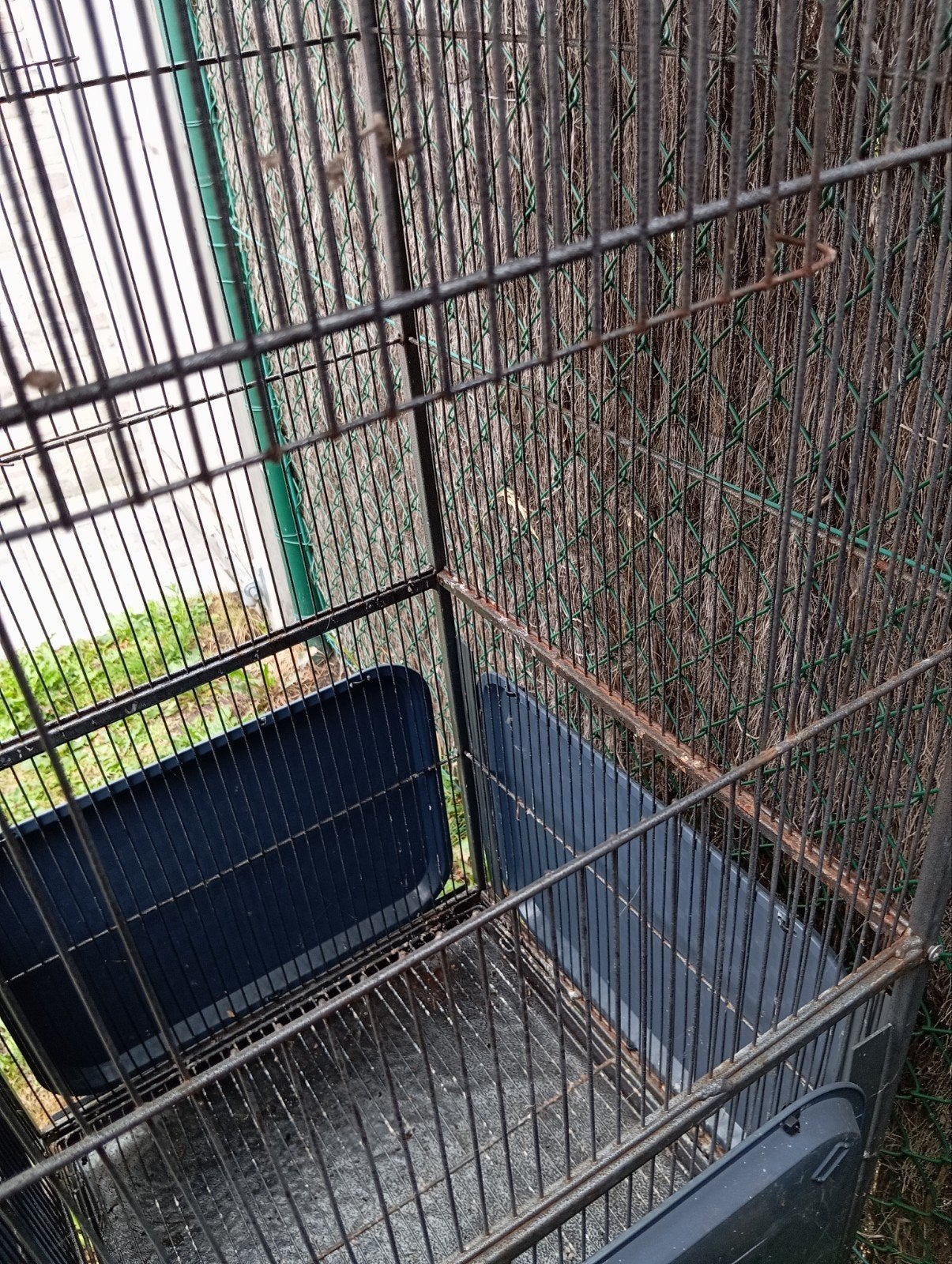 Vogelkooi, Dieren en Toebehoren, Ophalen, Vogelkooi