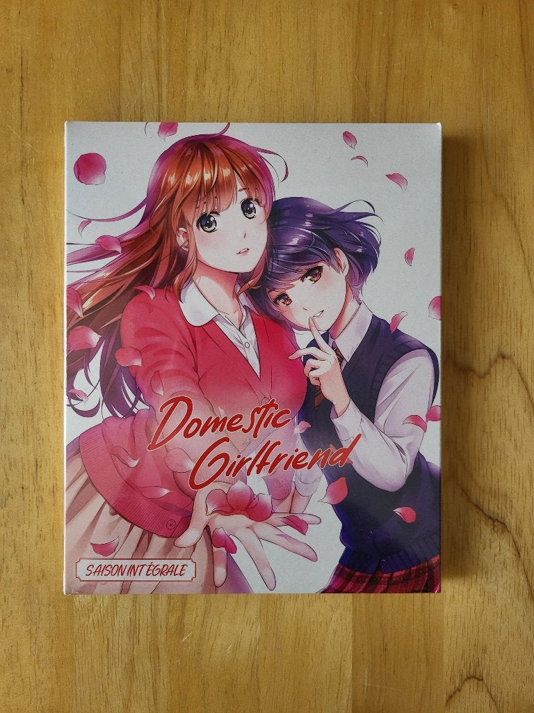 Coffret Blu-Ray intégrale Domestic Girlfriend (NEUF), CD & DVD, Série, Dessins animés et Film d'animation, Coffret, Enlèvement